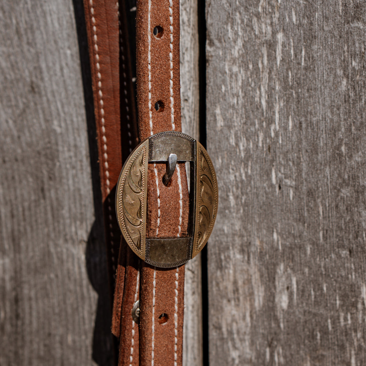 Rough Out Headstall